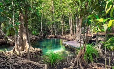 Los Haitises National Park
