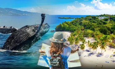 Whales in Samana