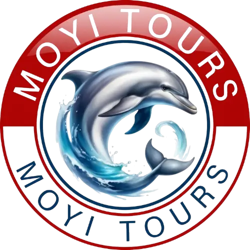 Moyi tours logo